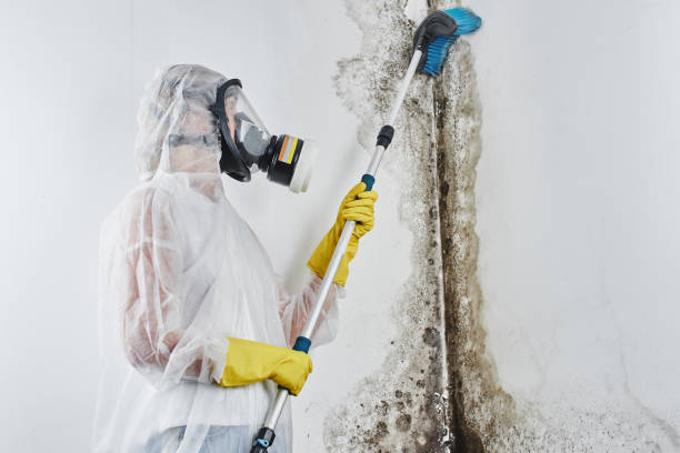 Dehumidification Services in Dexter, OR