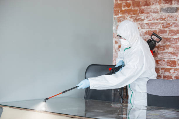 Why you should choose our mold remedi tion services in #city