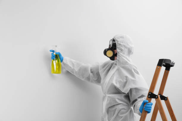 Asbestos and Lead Testing During Mold Inspection in Dexter, OR