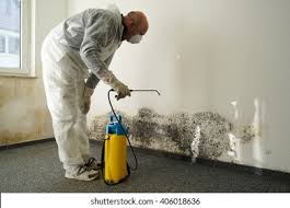 Mold Documentation for Insurance Claims in Dexter, OR